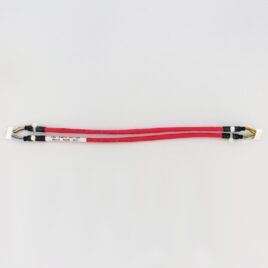 Ethernet – Dual 1.25mm Molex Duo-Clasp, 12″