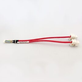Ethernet 2x10 1.25 mm - Dual RJ45 Female, 12"