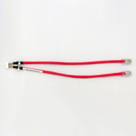 Ethernet 2x10 1.25 mm - Dual RJ45 Male, 12"