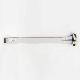 Serial - CAN Bus - Dual DB9, 12"